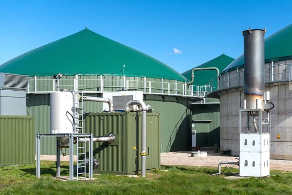 biomasa-antorchas-teas-biogas